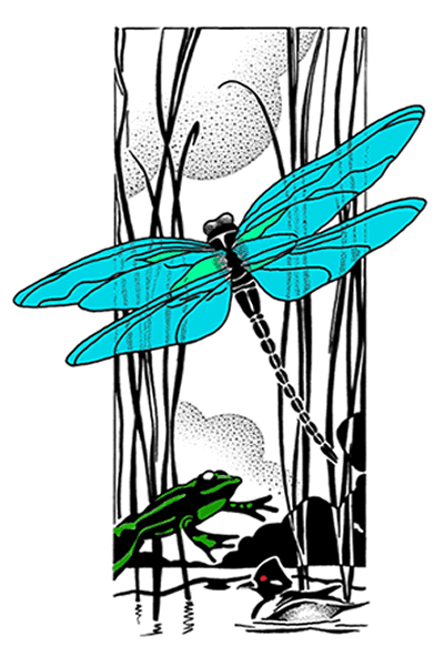 logo_whep.gif